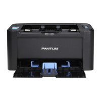 Pantum Laser Printer P2500
