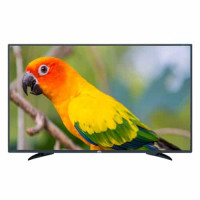Arpico 40 Inches LED TV 40W2A _ 3 years warranty